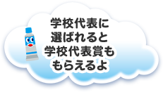 学校代表に選ばれると学校代表賞ももらえるよ